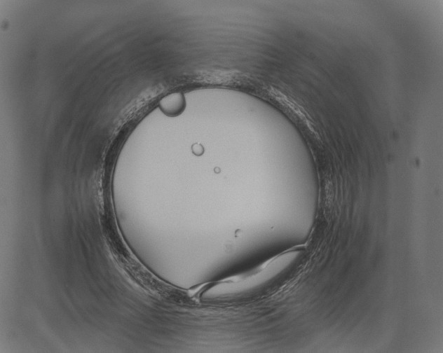 X0000083640682200703121720