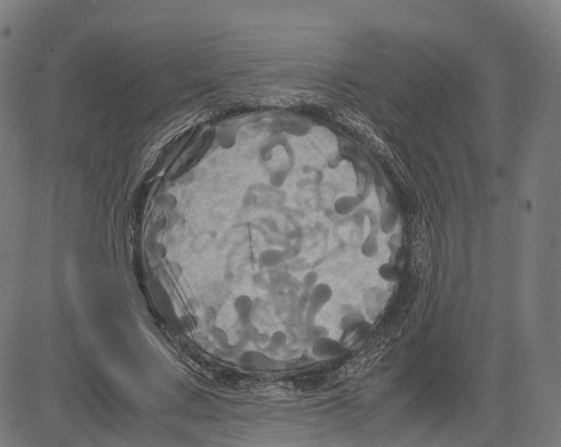 X0000083640683200703121720