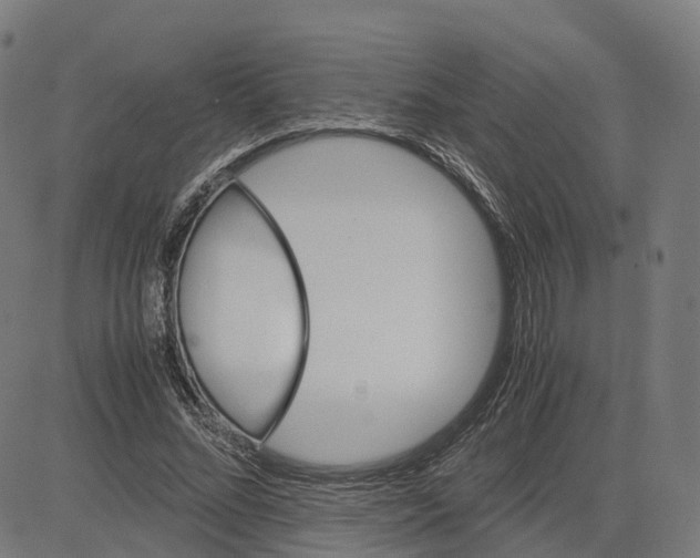 X0000083640684200703121720