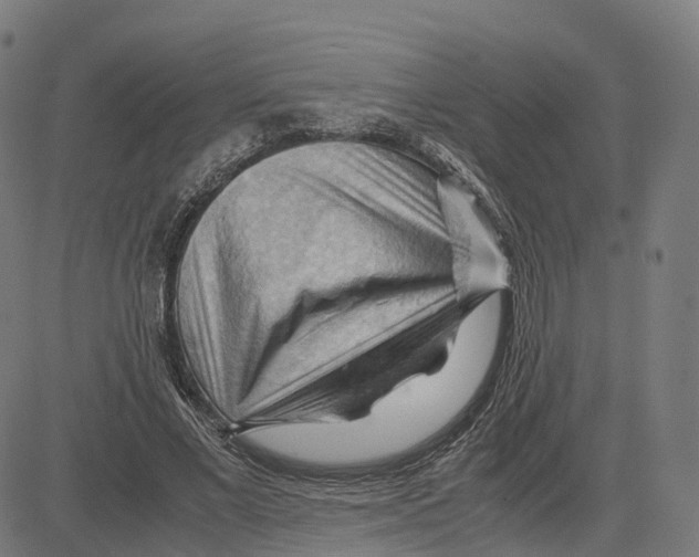 X0000083640685200703121720