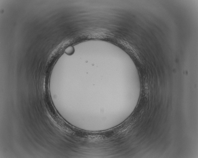 X0000083640686200703121720