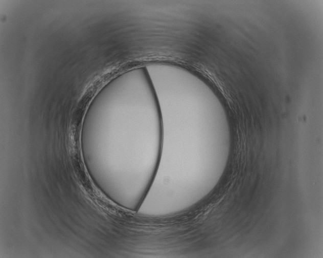 X0000083640688200703121720