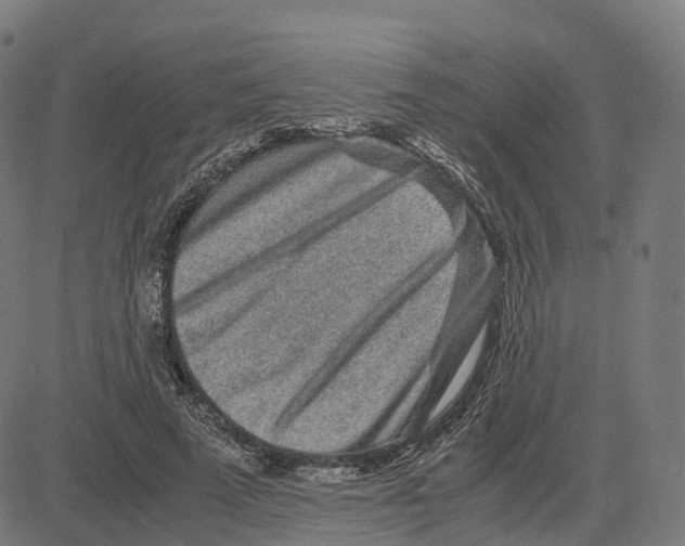 X0000083640689200703121720