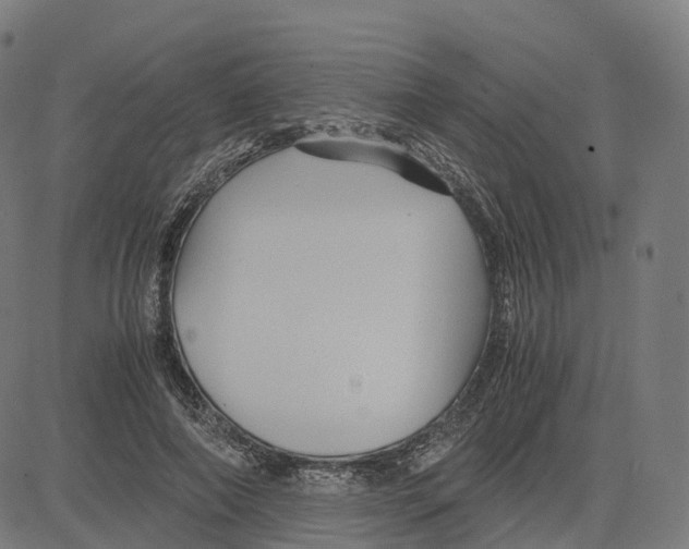 X0000083640690200703121720