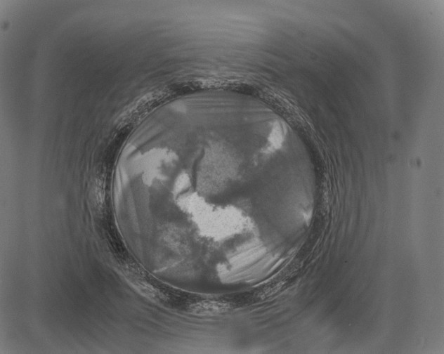 X0000083640691200703121720