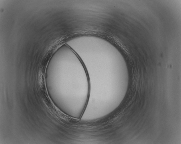 X0000083640692200703121720