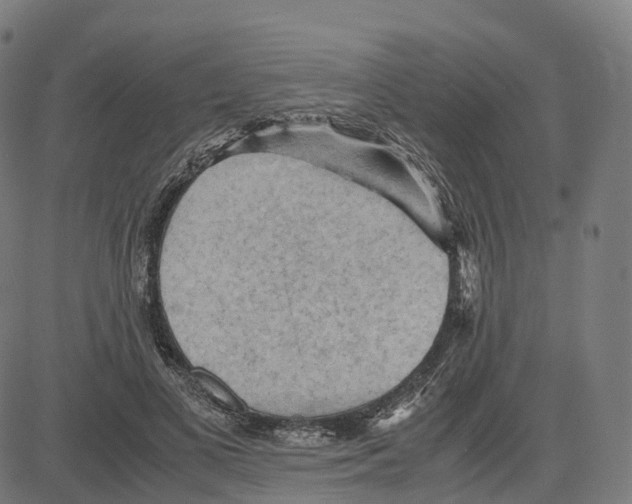 X0000083640693200703121720