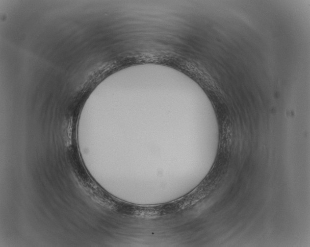 X0000083640694200703121720