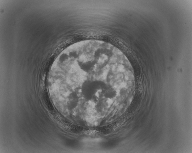 X0000083640695200703121720