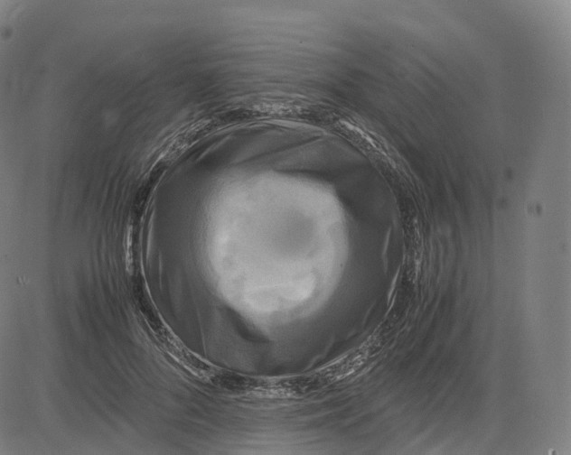 X0000083640696200703121720