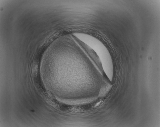 X0000083640697200703121720