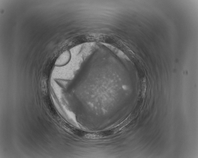 X0000083640699200703121720