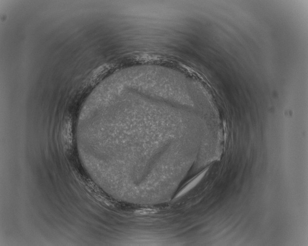 X0000083640700200703121720