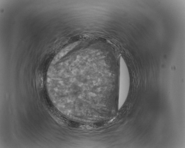 X0000083640703200703121720