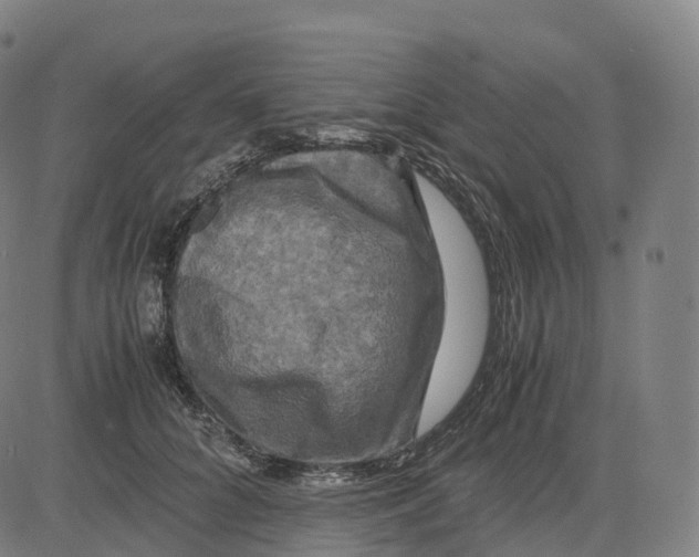 X0000083640704200703121720