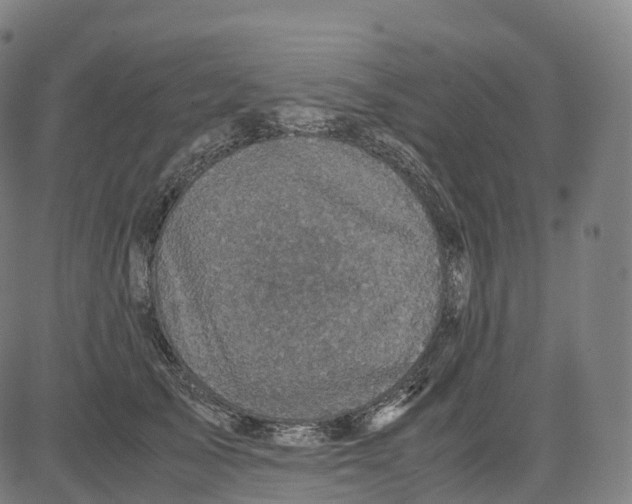 X0000083640705200703121720