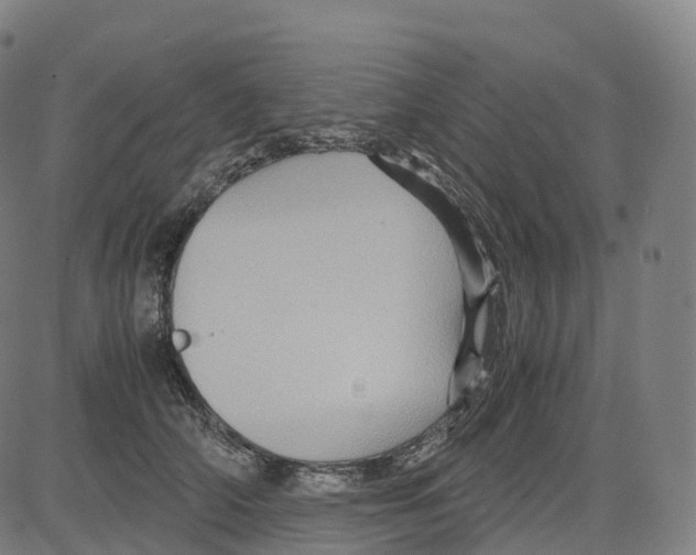 X0000083640706200703121720