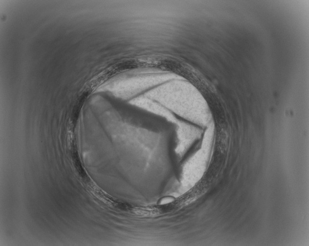 X0000083640707200703121720