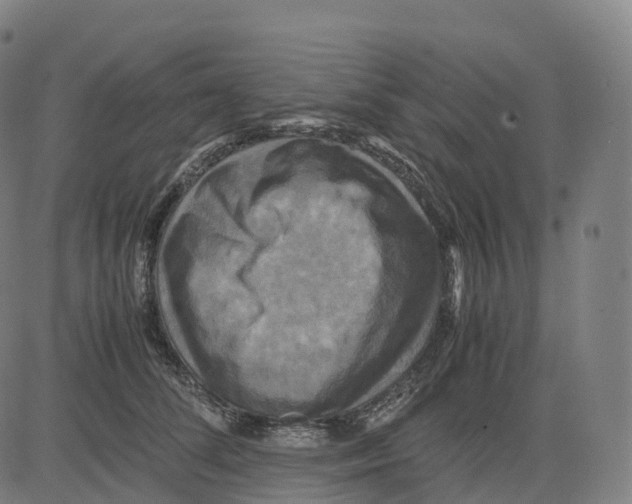 X0000083640708200703121720