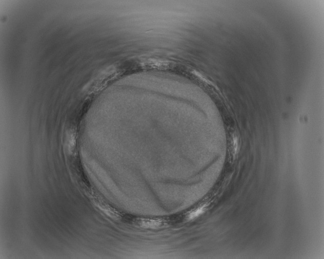 X0000083640709200703121720