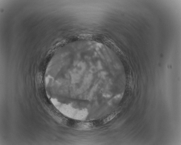 X0000083640711200703121720