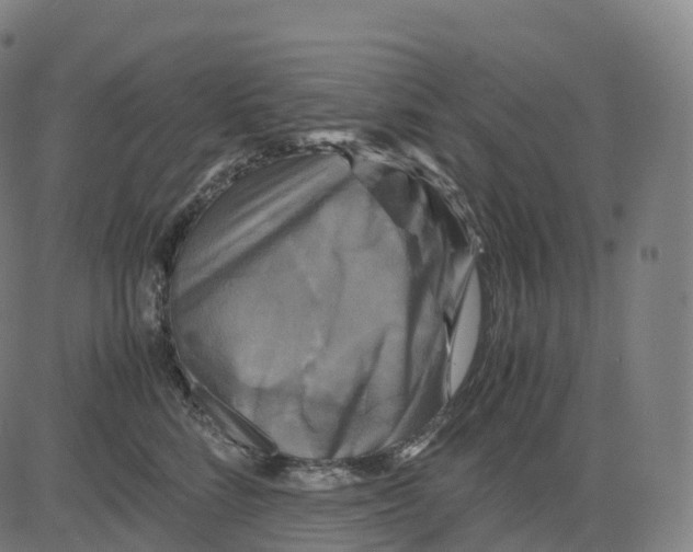 X0000083640712200703121720