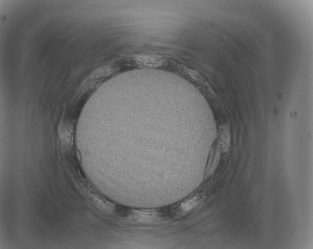 X0000083640713200703121720