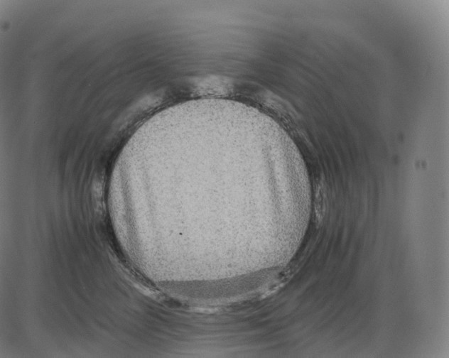 X0000083640714200703121720