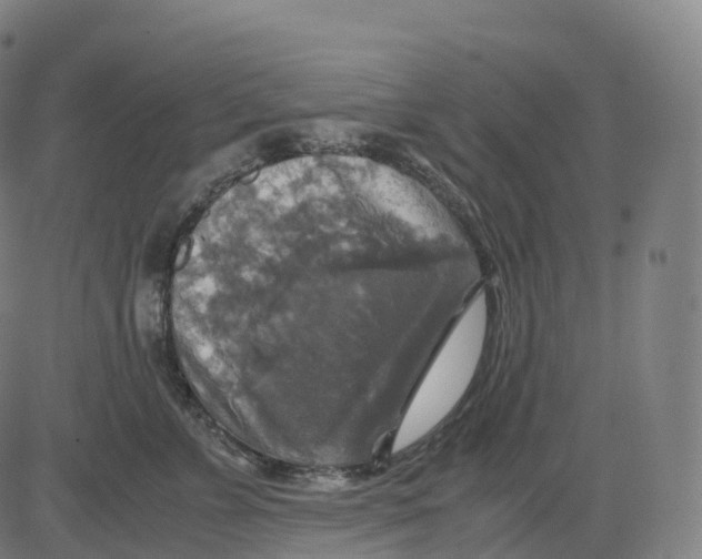 X0000083640715200703121719