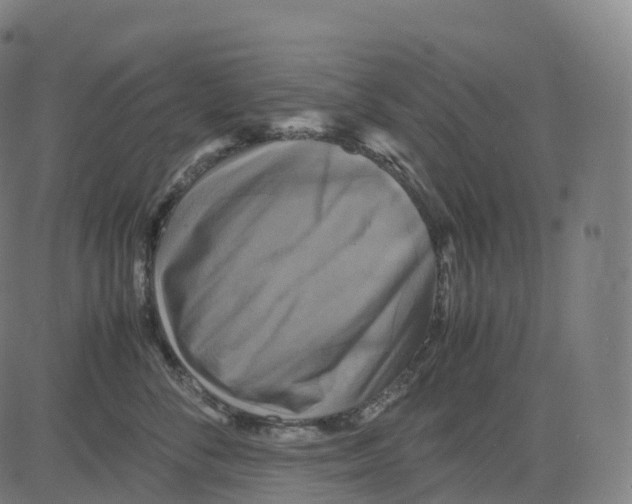 X0000083640716200703121719