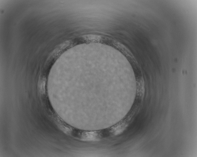 X0000083640717200703121719