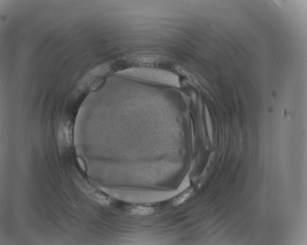 X0000083640718200703121719