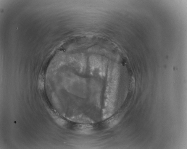 X0000083640719200703121719