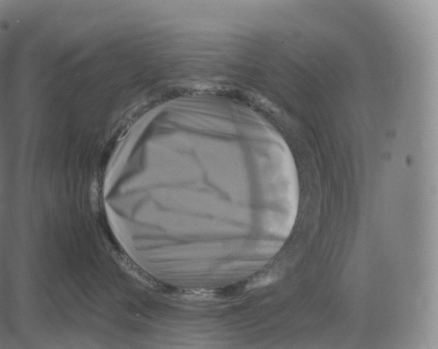 X0000083640720200703121719