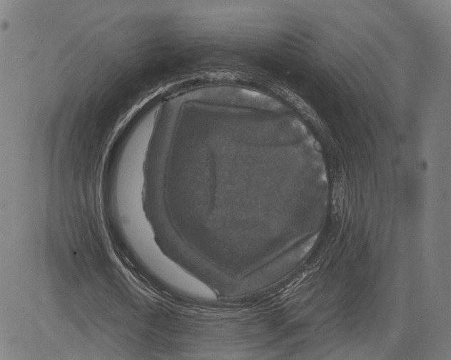 X0000083640722200703121719