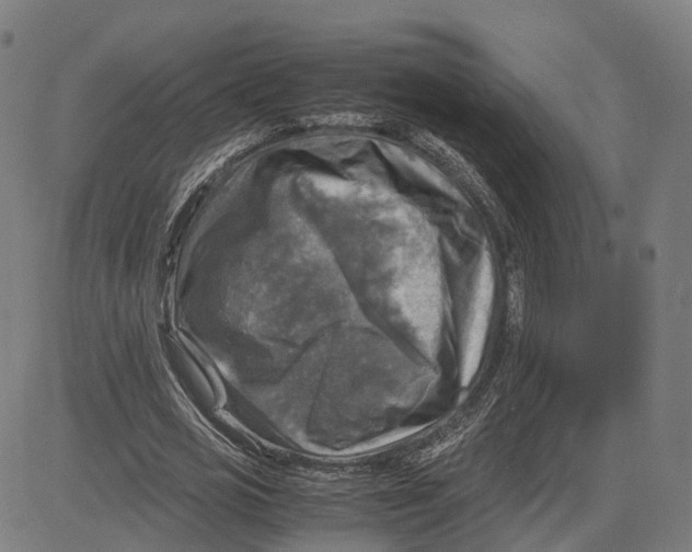 X0000083640725200703121719