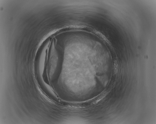 X0000083640726200703121719