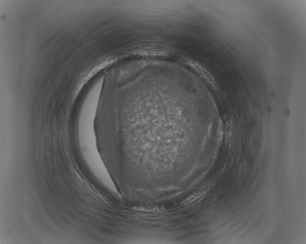 X0000083640727200703121719