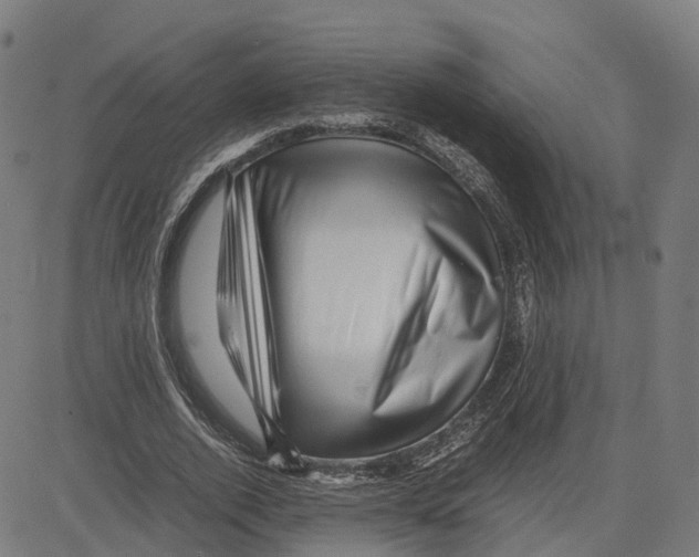 X0000083640728200703121719