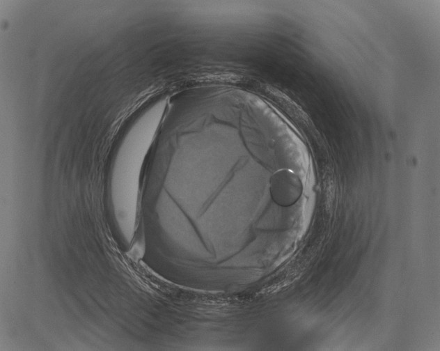 X0000083640729200703121719