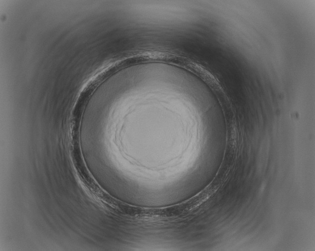 X0000083640730200703121719