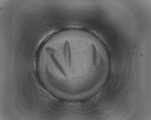 X0000083640731200703121719