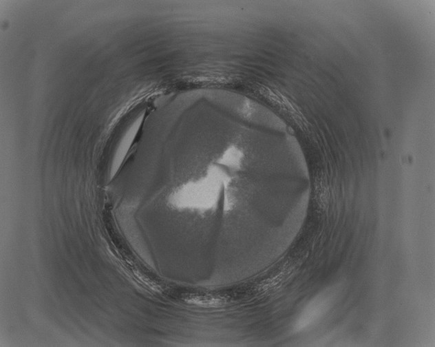 X0000083640735200703121719