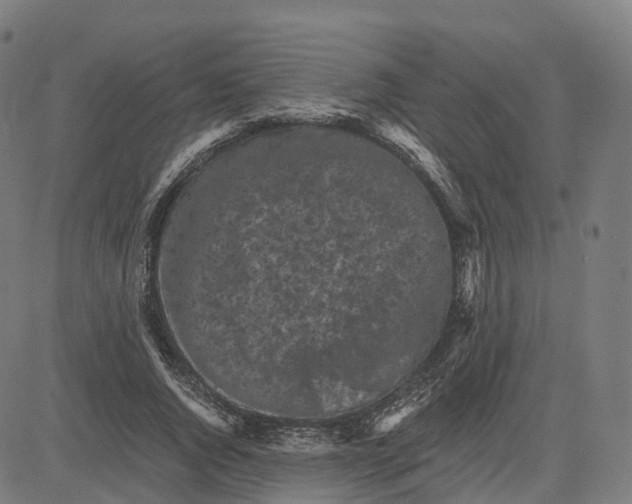 X0000083640736200703121719