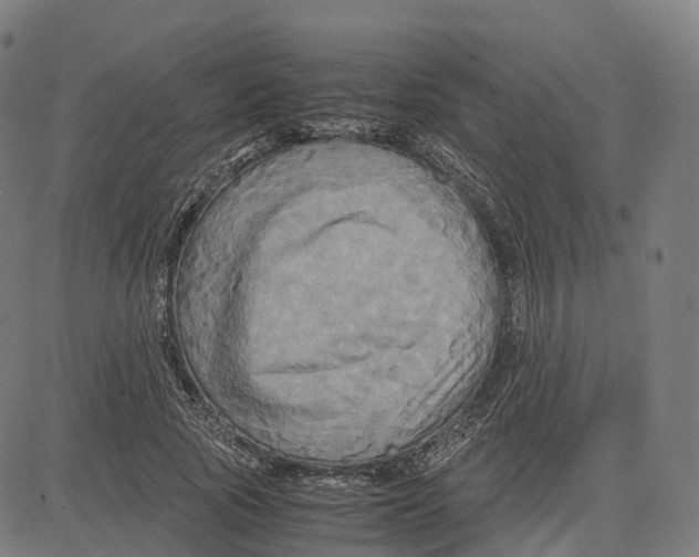 X0000083640737200703121719