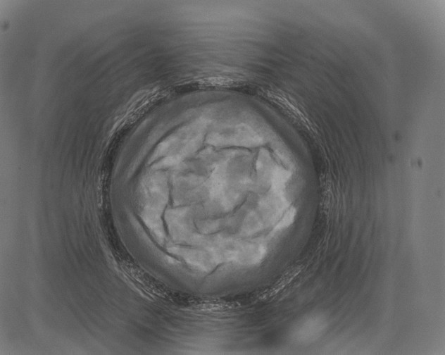 X0000083640738200703121719