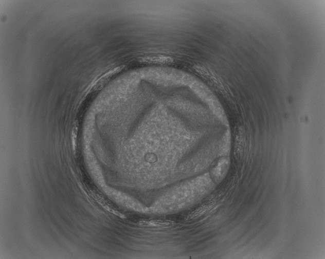 X0000083640739200703121719