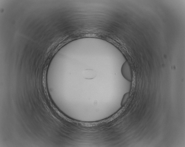 X0000083640740200703121719