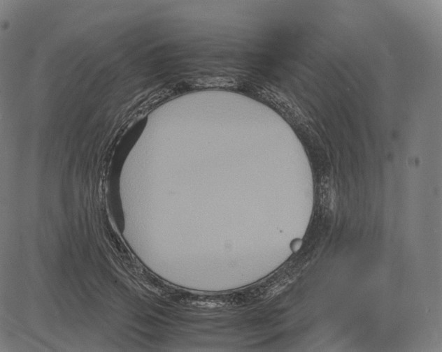 X0000083640741200703121719