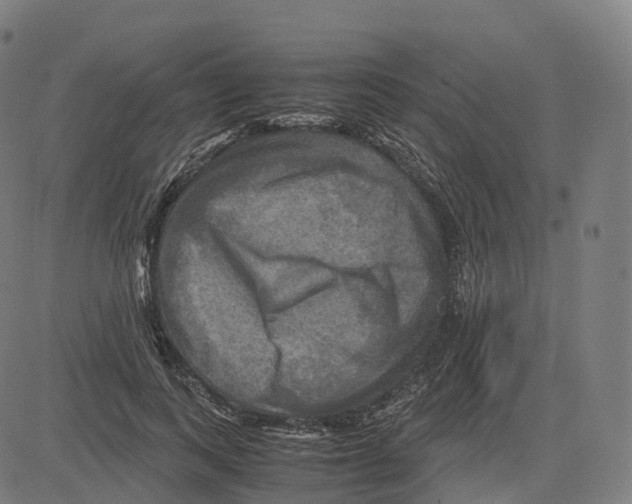 X0000083640743200703121719